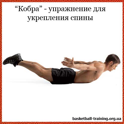 "Кобра" - упражнение для укрепления спины, мышц спины и позвоночника
